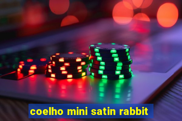 coelho mini satin rabbit